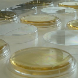 Medios de cultivo para detección y  recuento microbianos